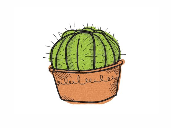Cactus in a Pot: A Designer’s Review for Personalized Gifts