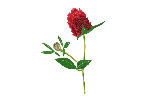 Red Clover Flower: A Delicate Touch for Small Hoops